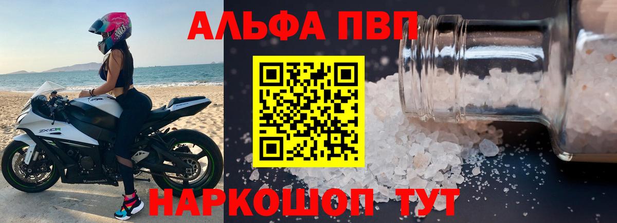 Alfa_PVP СК КРИС Малгобек