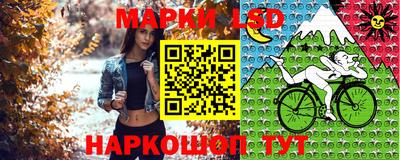 индика Гусь-Хрустальный