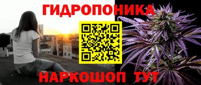 индика Гусь-Хрустальный