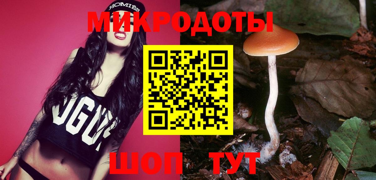 Псилоцибиновые грибы Cubensis Малгобек