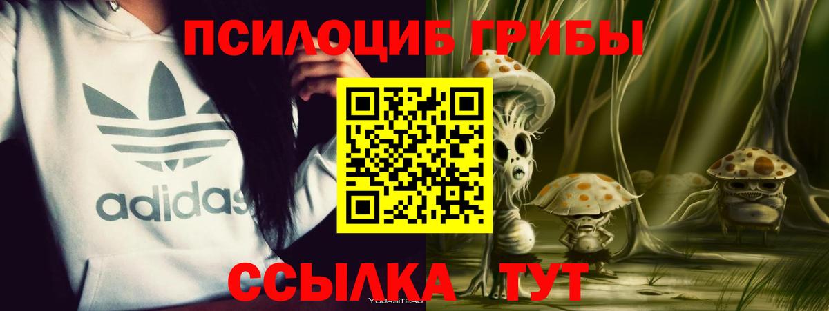 Галлюциногенные грибы MAGIC MUSHROOMS  Вход с VPN  Малгобек  Галлюциногенные грибы MAGIC MUSHROOMS 